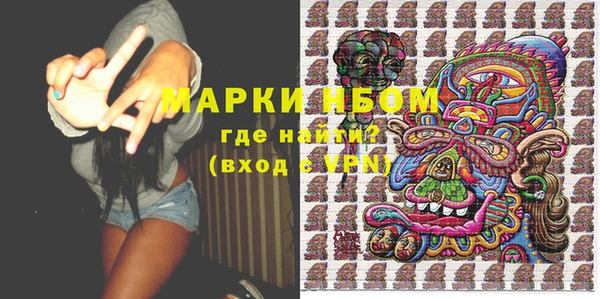 сатива Бронницы