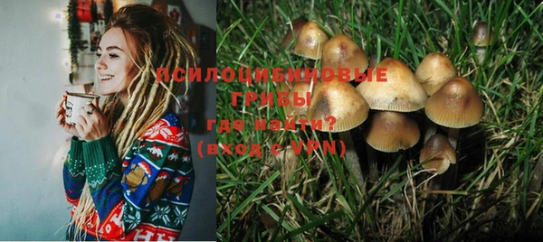 сатива Бронницы