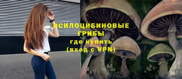 сатива Бронницы