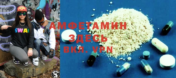 хмурый Пересвет