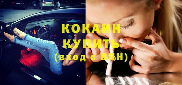 сатива Бронницы